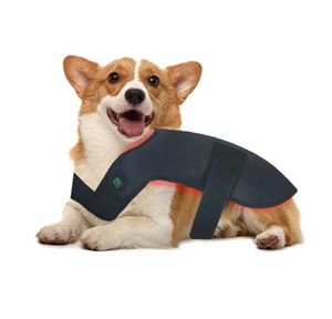 Red Light Therapy Small Dog Wrap
