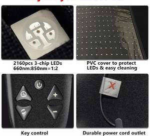 Red Light Therapy Full Body Roll-up Mat